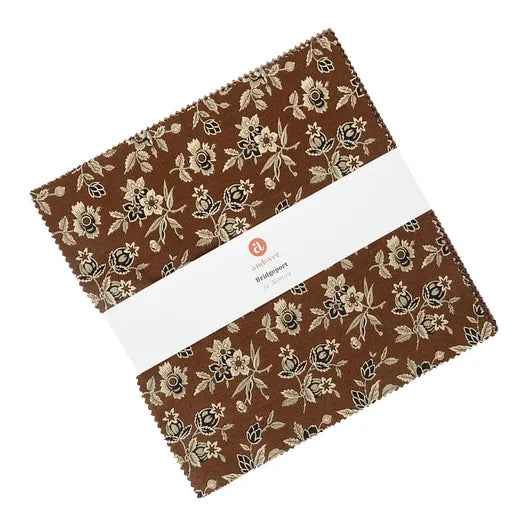 Bridgeport 10 inch squares pack