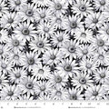 Scarlet's Treasure. Daisies. White on Black. Sold by the half yard.