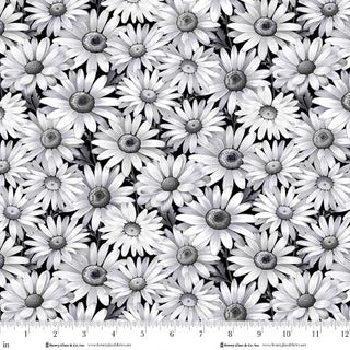 Scarlet's Treasure. Daisies. White on Black. Sold by the half yard.