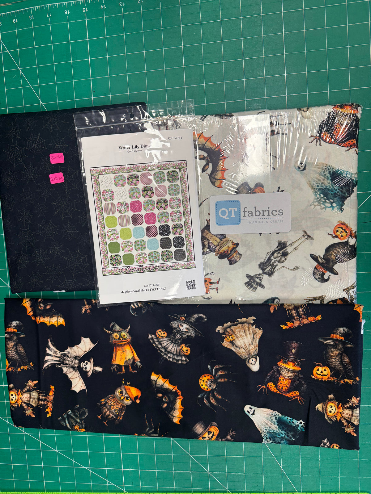 Dimes quilt kit. Jeepers Creepers