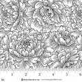 Scarlet's Treasure. Peony. White monotone. Sold by the half yard.